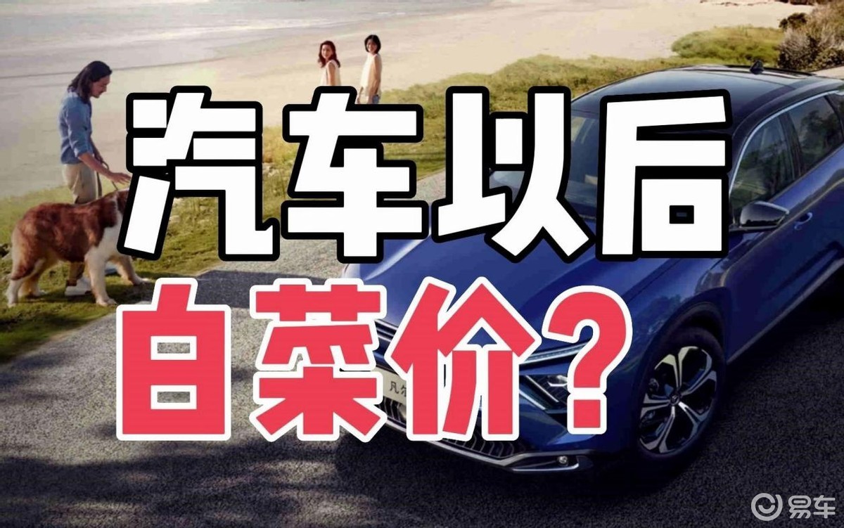 国内汽车圈价格战：把我给笑醒了